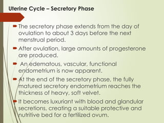 Uterine Cycle – Secretory Phase
 The secretory phase extends from the day of
ovulation to about 3 days before the next
menstrual period.
 After ovulation, large amounts of progesterone
are produced.
 An edematous, vascular, functional
endometrium is now apparent.
 At the end of the secretory phase, the fully
matured secretory endometrium reaches the
thickness of heavy, soft velvet.
 It becomes luxuriant with blood and glandular
secretions, creating a suitable protective and
nutritive bed for a fertilized ovum.
 