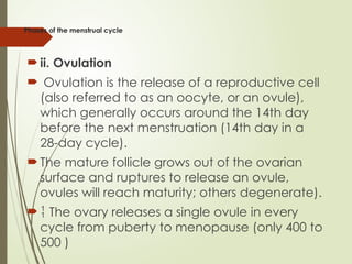 Phases of the menstrual cycle
 ii. Ovulation
 Ovulation is the release of a reproductive cell
(also referred to as an oocyte, or an ovule),
which generally occurs around the 14th day
before the next menstruation (14th day in a
28-day cycle).
 The mature follicle grows out of the ovarian
surface and ruptures to release an ovule,
ovules will reach maturity; others degenerate).
  The ovary releases a single ovule in every
cycle from puberty to menopause (only 400 to
500 )
 