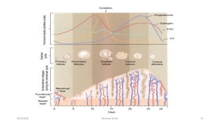 10/5/2024 Msouda Asaira 11
 