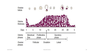 Msouda Asaira
10/5/2024 14
 
