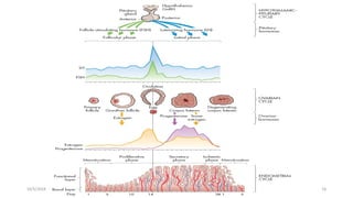 Msouda Asaira
10/5/2024 16
 