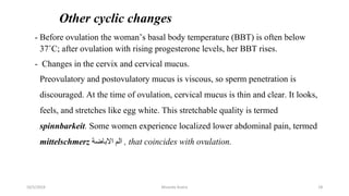 Other cyclic changes
- Before ovulation the woman’s basal body temperature (BBT) is often below
37˚C; after ovulation with rising progesterone levels, her BBT rises.
- Changes in the cervix and cervical mucus.
Preovulatory and postovulatory mucus is viscous, so sperm penetration is
discouraged. At the time of ovulation, cervical mucus is thin and clear. It looks,
feels, and stretches like egg white. This stretchable quality is termed
spinnbarkeit. Some women experience localized lower abdominal pain, termed
mittelschmerz ‫اﻻﺑﺎﺿﺔ‬ ‫اﻟﻢ‬ , that coincides with ovulation.
Msouda Asaira
10/5/2024 18
 
