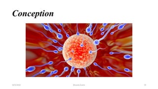 Conception
Msouda Asaira
10/5/2024 29
 