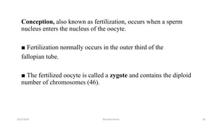 Conception, also known as fertilization, occurs when a sperm
nucleus enters the nucleus of the oocyte.
■ Fertilization normally occurs in the outer third of the
fallopian tube.
■ The fertilized oocyte is called a zygote and contains the diploid
number of chromosomes (46).
10/5/2024 Msouda Asaira 30
 