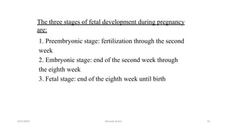 1. Preembryonic stage: fertilization through the second
week
2. Embryonic stage: end of the second week through
the eighth week
3. Fetal stage: end of the eighth week until birth
Msouda Asaira
The three stages of fetal development during pregnancy
are:
10/5/2024 32
 