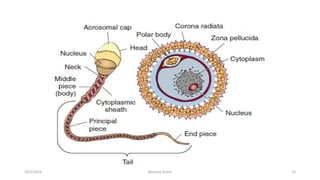 Msouda Asaira
10/5/2024 35
 