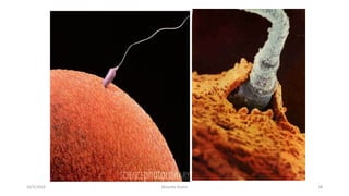 Msouda Asaira
10/5/2024 38
 