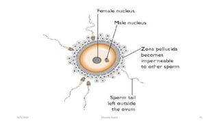 Msouda Asaira
10/5/2024 41
 
