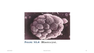 Msouda Asaira
10/5/2024 45
 