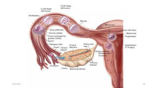 Msouda Asaira
10/5/2024 46
 