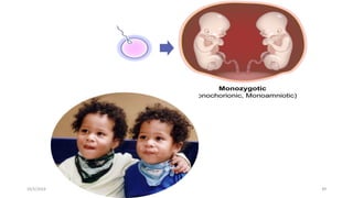 Msouda Asaira
10/5/2024 49
 