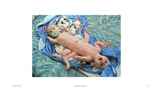 Msouda Asaira
10/5/2024 52
 