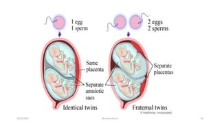 Msouda Asaira
10/5/2024 54
 