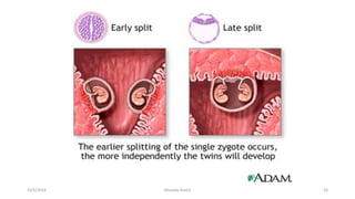 Msouda Asaira
10/5/2024 55
 
