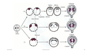 Msouda Asaira
10/5/2024 59
 
