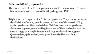 Other multifetal pregnancies
The occurrence of multifetal pregnancies with three or more fetuses
has increased with the use of fertility drugs and IVF.
Triplets occur in approx. 1 of 1341 pregnancies. They can occur from
the division of one zygote into two, with one of the two dividing
again, producing identical triplets. Triplets can also be produced
from two zygotes, one dividing into a set of identical twins and the
second zygote a single fraternal sibling, or from three zygotes.
Quadruplets, quintuplets, sextuplets have similar possible
derivations.
Msouda Asaira
10/5/2024 60
 