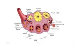 Msouda Asaira
10/5/2024 8
 