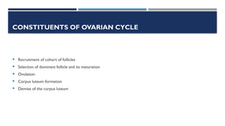 Comprehensive Overview of the Menstrual Cycle: Ovarian and Endometrial ...