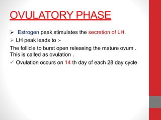OVULATORY PHASE
 Estrogen peak stimulates the secretion of LH.
 LH peak leads to :-
The follicle to burst open releasing the mature ovum .
This is called as ovulation .
 Ovulation occurs on 14 th day of each 28 day cycle
 