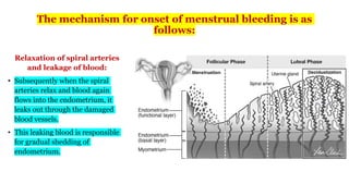 Comprehensive Overview of the Menstrual Cycle: Phases, Hormones, and ...