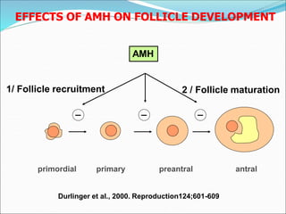 Amh Development Comprehensive Overview of Menstrual Cycle and Hormonal Regulation in ...