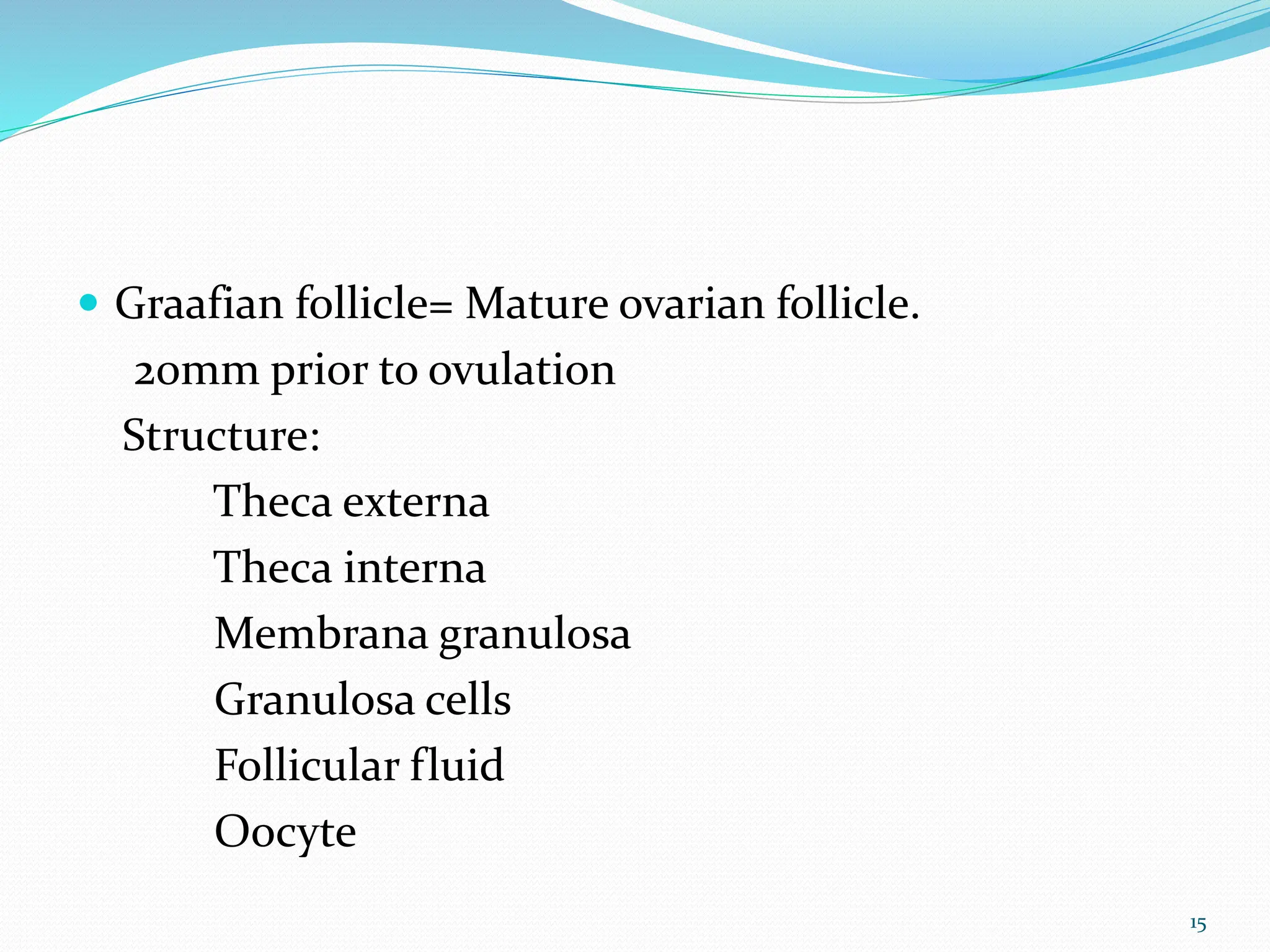  Graafian follicle= Mature ovarian follicle.
20mm prior to ovulation
Structure:
Theca externa
Theca interna
Membrana granulosa
Granulosa cells
Follicular fluid
Oocyte
15
 