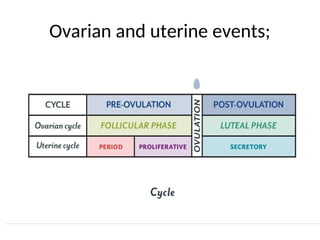 MENSTRUAL CYCLE AND OVULATION 3.ppt physiology and anatomy | PPT
