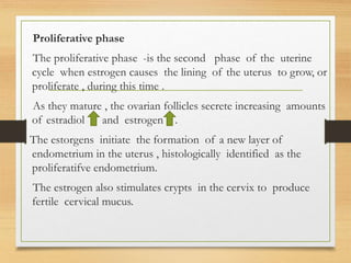Proliferative phase
The proliferative phase -is the second phase of the uterine
cycle when estrogen causes the lining of the uterus to grow, or
proliferate , during this time .
As they mature , the ovarian follicles secrete increasing amounts
of estradiol and estrogen .
The estorgens initiate the formation of a new layer of
endometrium in the uterus , histologically identified as the
proliferatifve endometrium.
The estrogen also stimulates crypts in the cervix to produce
fertile cervical mucus.
 