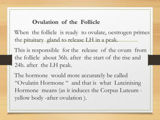 Ovulation of the Follicle
When the follicle is ready to ovulate, oestrogen primes
the pituitary gland to release LH in a peak.
This is responsible for the release of the ovum from
the follicle about 36h. after the start of the rise and
24h. after the LH peak.
The hormone would more accurately be called
“Ovulatin Hormone “ and that is what Luteinising
Hormone means (as it induces the Corpus Luteum -
yellow body -after ovulation ).
 