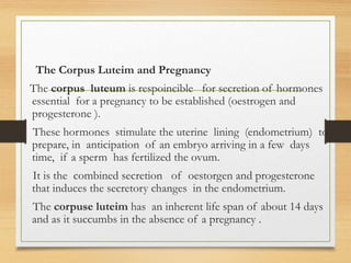 The Corpus Luteim and Pregnancy
The corpus luteum is respoincible for secretion of hormones
essential for a pregnancy to be established (oestrogen and
progesterone ).
These hormones stimulate the uterine lining (endometrium) to
prepare, in anticipation of an embryo arriving in a few days
time, if a sperm has fertilized the ovum.
It is the combined secretion of oestorgen and progesterone
that induces the secretory changes in the endometrium.
The corpuse luteim has an inherent life span of about 14 days
and as it succumbs in the absence of a pregnancy .
 