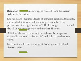 Ovulation mature egg is released from the ovarian
follicles in the oviduct.
Egg has nearly matured , levels of estradiol reaches a threshold,
above which it is reversed and estrogen stimulated the
production of a large amount of LH. LH surge around
day 12 of the average cycle and may last 48 hours.
Which of the two ovaries -left or right-ovulates appears
essentially random ; no known left and right co-ordinations
exists.
Both ovaries will release an egg, if both eggs are fertilized
fraternal twins.
 
