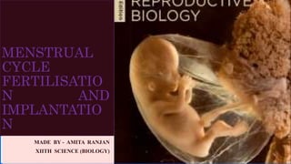 MENSTRUAL
CYCLE
FERTILISATIO
N AND
IMPLANTATIO
N
MADE BY - AMITA RANJAN
XIITH SCIENCE (BIOLOGY)
 