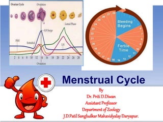 Menstrual Cycle
By
Dr. Priti D.Diwan
Assistant Professor
Department of Zoology
J.D.PatilSangludkar MahavidyalayDaryapur.
 
