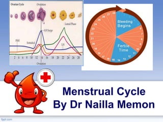 Menstrual Cycle
By Dr Nailla Memon
 