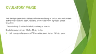 OVULATORY PHASE
The estrogen peak stimulates secretion of LH,leading to the LH peak which leads
to thefollicle to burst open, releasing the mature ovum, a process called
ovulation
The remaining Graafian follicle forms Corpus luteum.
Ovulation occurs on day 14 of a 28-day cycle.
 High estrogen also suppress FSH secretion so no further follicles grow.
 