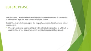 LUTEAL PHASE
After ovulation,LH levels remain elevated and cause the remnants of the follicle
to develop into a yellow body called the corpus luteum.
In addition to producing estrogen, the corpus luteum secretes a hormone called
progesterone.
 When progesterone reaches a high level it inhibits the secretion of LH leads to
degeneration of the corpus luteum (If fertilization does not take place).
 