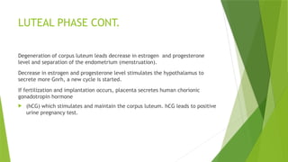 LUTEAL PHASE CONT.
Degeneration of corpus luteum leads decrease in estrogen and progesterone
level and separation of the endometrium (menstruation).
Decrease in estrogen and progesterone level stimulates the hypothalamus to
secrete more Gnrh, a new cycle is started.
If fertilization and implantation occurs, placenta secretes human chorionic
gonadotropin hormone
 (hCG) which stimulates and maintain the corpus luteum. hCG leads to positive
urine pregnancy test.
 