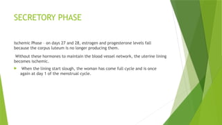 SECRETORY PHASE
Ischemic Phase – on days 27 and 28, estrogen and progesterone levels fall
because the corpus luteum is no longer producing them.
Without these hormones to maintain the blood vessel network, the uterine lining
becomes ischemic.
 When the lining start slough, the woman has come full cycle and is once
again at day 1 of the menstrual cycle.
 