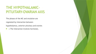 THE HYPOTHALAMIC-
PITUITARY-OVARIAN AXIS
The phases of the MC and ovulation are
regulated by interaction between
hypothalamus, anterior pituitary and ovaries
 • The interaction involves hormones.
 