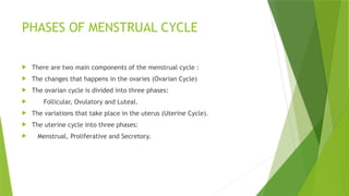 PHASES OF MENSTRUAL CYCLE
 There are two main components of the menstrual cycle :
 The changes that happens in the ovaries (Ovarian Cycle)
 The ovarian cycle is divided into three phases:
 Follicular, Ovulatory and Luteal.
 The variations that take place in the uterus (Uterine Cycle).
 The uterine cycle into three phases:
 Menstrual, Proliferative and Secretory.
 