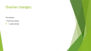 Ovarian changes:
Two phases
‣ Follicular phase
 ‣ Luteal phase
 