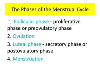 The Phases of the Menstrual Cycle
1. Follicular phase - proliferative
phase or preovulatory phase
2. Ovulation
3. Luteal phase - secretory phase or
postovulatory phase
4. Menstruation
 