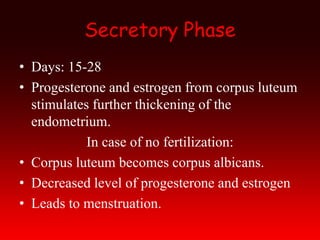 Secretory Phase
• Days: 15-28
• Progesterone and estrogen from corpus luteum
stimulates further thickening of the
endometrium.
In case of no fertilization:
• Corpus luteum becomes corpus albicans.
• Decreased level of progesterone and estrogen
• Leads to menstruation.
 