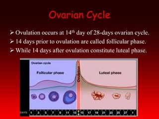 Ovarian Cycle
 Ovulation occurs at 14th day of 28-days ovarian cycle.
 14 days prior to ovulation are called follicular phase.
 While 14 days after ovulation constitute luteal phase.
 