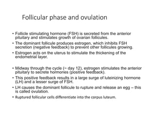 Follicular phase and ovulation
• Follicle stimulating hormone (FSH) is secreted from the anterior
pituitary and stimulates growth of ovarian follicules.
• The dominant follicule produces estrogen, which inhibits FSH
secretion (negative feedback) to prevent other follicules growing.
• Estrogen acts on the uterus to stimulate the thickening of the
endometrial layer.
• Midway through the cycle (~ day 12), estrogen stimulates the anterior
pituitary to secrete hormones (positive feedback).
• This positive feedback results in a large surge of luteinizing hormone
(LH) and a lesser surge of FSH.
• LH causes the dominant follicule to rupture and release an egg – this
is called ovulation.
• Ruptured follicular cells differentiate into the corpus luteum.
 