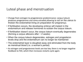 Luteal phase and menstruation
• Change from estrogen to progesterone predominance: corpus luteum
produces progesterone and some estradiol,allowing to act on the uterus to
thicken the endometrial lining (in preparation for pregnancy).
• If fertilisation occurs, the developing embryo will implant in the
endometrium and release hormones to sustain the corpus luteum.
• If fertilisation doesn’t occur, the corpus luteum eventually degenerates
(forming a corpus albicans after ~ 2 weeks)
• When the corpus luteum degenerates, estrogen and progesteron
levels drop and the endometrium can no longer be maintained
• The endometrial layer is sloughed away and eliminated from the body
as menstrual blood (i.e. a woman’s period)
• As estrogen and progesterone levels are too low, there is no longer negative
feedback to FSH, which then increases restarts cycle again.
 