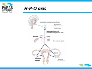 H-P-O axisH-P-O axis
 