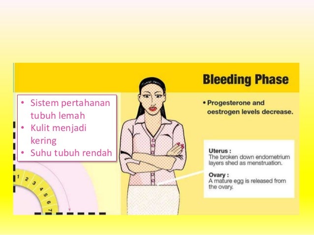 Menstruasi (Siklus Menstruasi dan Gangguannya)