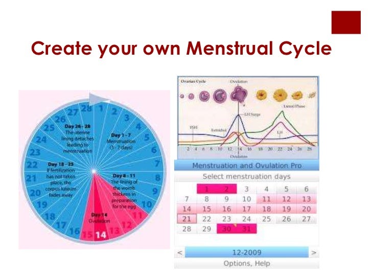 How To Chart Menstrual Cycle