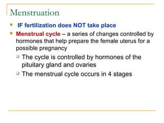 Menstruation
 IF fertilization does NOT take place
 Menstrual cycle – a series of changes controlled by
hormones that help prepare the female uterus for a
possible pregnancy
 The cycle is controlled by hormones of the
pituitary gland and ovaries
 The menstrual cycle occurs in 4 stages
 